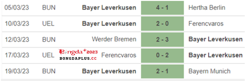 phong-đo-Bayer-Leverkusen